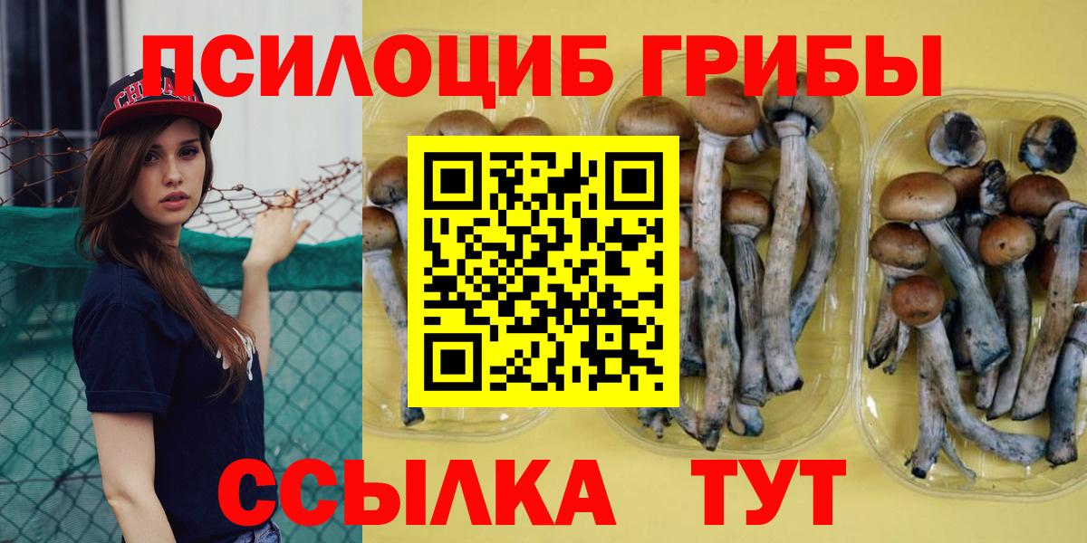 Чебаркуль  Псилоцибиновые грибы Psilocybe  Псилоцибиновые грибы Cubensis  Вход с VPN 